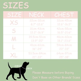 Wolfone No Pull Dog Harness Adjustable Soft Padded Pet Vest with Control Handle Adorable Daily Harness for Dogs（Mint Green XS）