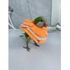 RRRIOT Adjustable Parrot Cone Collar, Safe and Practical Cotton Collar