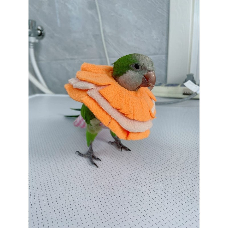 RRRIOT Adjustable Parrot Cone Collar, Safe and Practical Cotton Collar