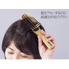Camellia Oil Brow Brush Hair Brush Blow Smooth Izu Toshima