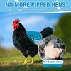 Chicken Saddle for Hens - Chicken Aprons for Hens With