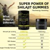 GWYNNE Pure Himalayan Shilajit Gold Apto para Hombres y Mujeres
