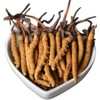 Generic Wild Himalayan Yarsha Gumba Or Cordyceps Sinensis Large Pieces