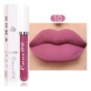 Set 10 Labiales Líquidos Mate Cmaadu Larga Duración 01