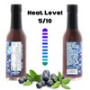 Hellfire Blueberry Hell Hot Sauce with Carolina Reaper Peppers, Gourmet,
