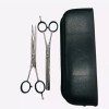 Astoria Set Tijera Barbero Peluquero Plata 7 Mod 149 208