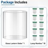 10 Pcs Propane Lantern Mantles with Lantern Globe Replacement Glass