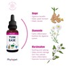Phytopet Tum Ease | 30ml | 100% Natural Herbal Remedy