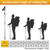 HOVIN Nordic Walking Pole for Women, Aluminium Folding Walking Pole,
