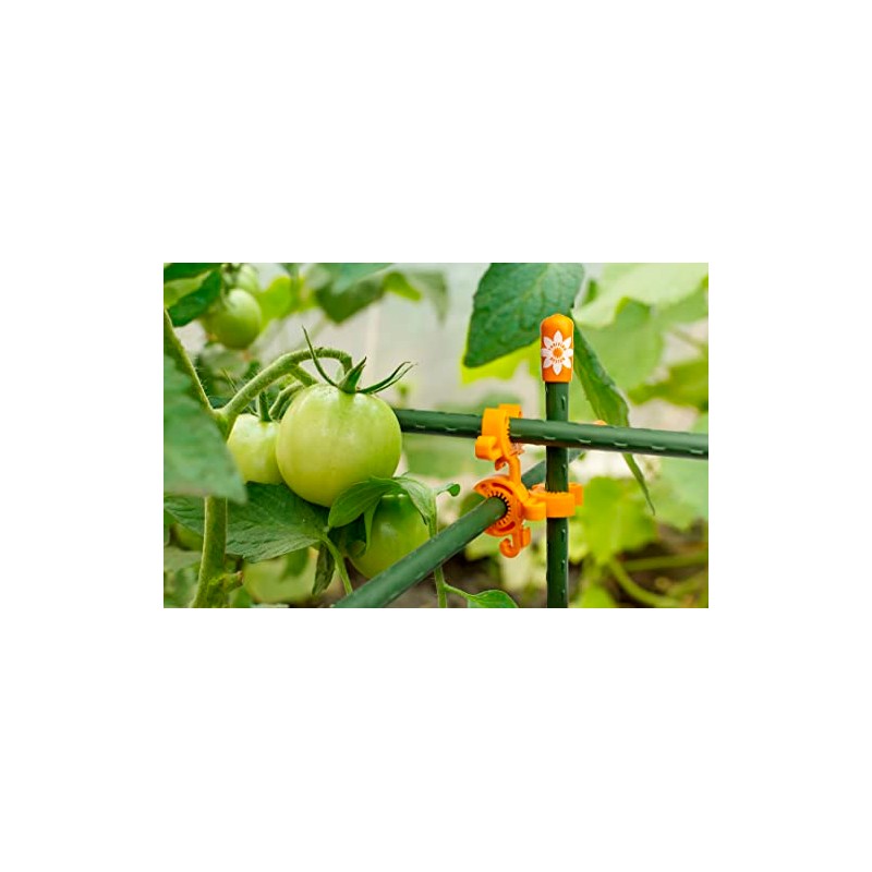 Durable Plant Support Clips for Climbing Plants - 100 Pack