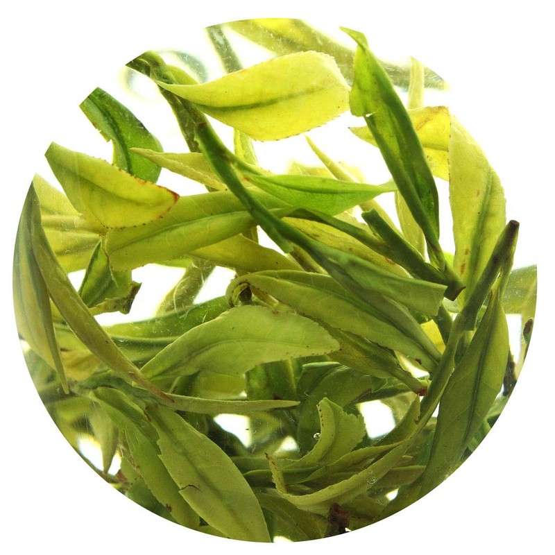 GOARTEA 100g / 3.5oz Premium Spring Anji Bai Cha Long