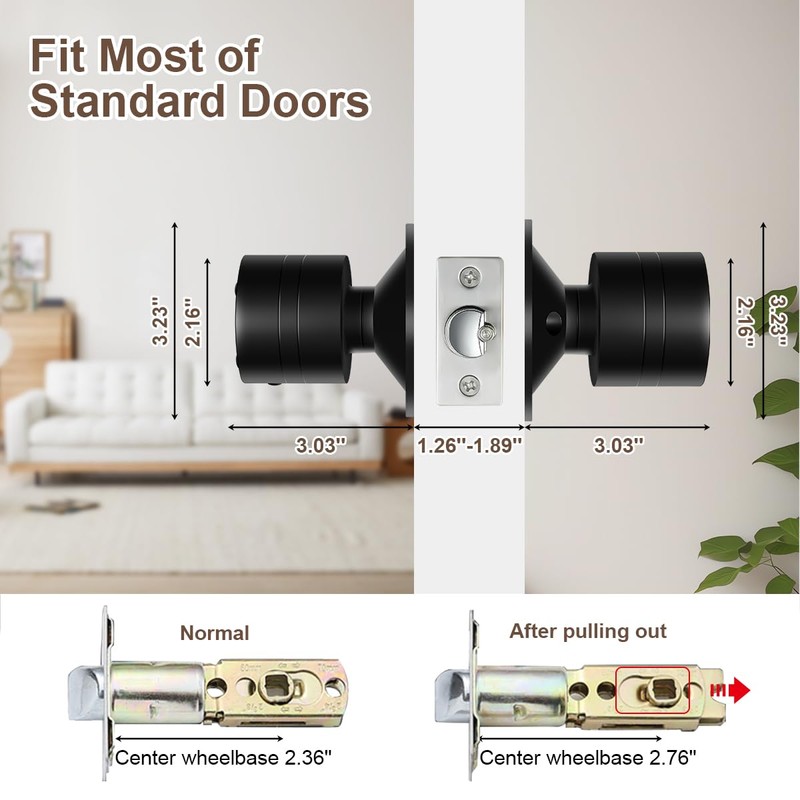 Door Knob with Keypad, Keyless Entry Door Lock, Black Electronic