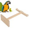 Bird Standing Perch, Portable Bird Play Stand Parrots Standing Frame
