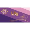 Lily Grooming Pocket Hair Combs For Men, Pack of 5