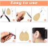 TOAOB 300pcs Earring Hooks Silver Plated Kit Silver and Gold
