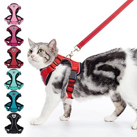 PUPTECK Cat Harness and Leash Set- Adjustable Vest Escape Proof Harness for Kitten Small Medium Cats, Retractable Breathable Soft Mesh for Outside with Reflective Strips