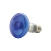 QTX R80 Coloured Reflector Lamps | BLUE