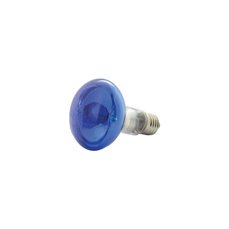 QTX R80 Coloured Reflector Lamps | BLUE