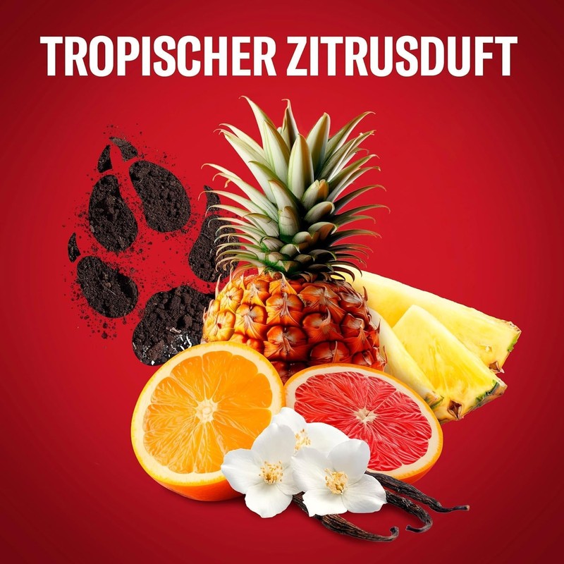 Old Spice Wolfthorn Deo Stick für Männer, 6x 50ml, 48H