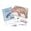 Carolina® Pig Anatomy Kit With Dissecting Set, Materials For 1-2