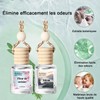 Shinfirst Dsodorisant de voiture suspendu, diffuseur d'huiles essentielles pour voiture,