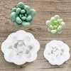 PRETTYLIFE Thick Succulent Silicone Molds 2pcs 3D Flower Plants Candle