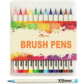 Watercolour Brush Pens set, Artists Calligraphy Markers with Soft Bristle Tip & Rich Colours for Sketchbook Drawings Manga / Comic Book Art, Adult Colouring, Bullet Journals, Canvas Paintings (12)
