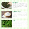 Toothpaste, Green Tea Plus, 1 Bottle, Prevents Dental Cavities, Bad