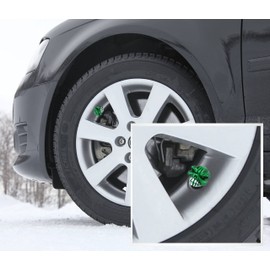 Arenbel Skull Valve Stem Cap 4 Pack Universal Stem Covers for Cars, SUVs, Bike and Bicycle, Trucks, Motorcycles, Attractive Car Accessories Green