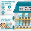120 Egg Incubator with Humidity Display, Automatic Temperature Control and
