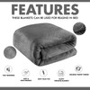 Lions Fleece Throw Blanket - 100% Polyester, Ultra Soft Faux