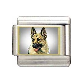 Clearly Charming German Shepherd Italian Charm