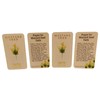 Westmon Works Mustard Seed Holy Card Bulk Pack Bundle Matthew