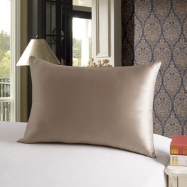 townssilk Both Side 100% 19mm Silk Pillowcase Queen Size Pillow Case Cover with Hidden Zipper Lightbronze