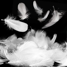HUATEEN White Feathers,200 PCS Feathers for Crafts Natural Goose Feathers Decorations Feathers for DIY Dream Catchers Hats Costume Millinery Home Party Decor Wedding Decorations 5-8CM