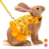 ALUZAEMO Bunny Harness and Leash Set, Escape Proof Carrot Mesh