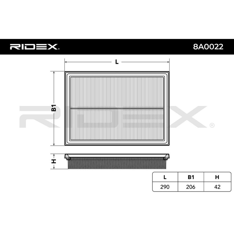 RIDEX 8A0022 Engine Air Filter, Air Filter Insert, Car Filter,