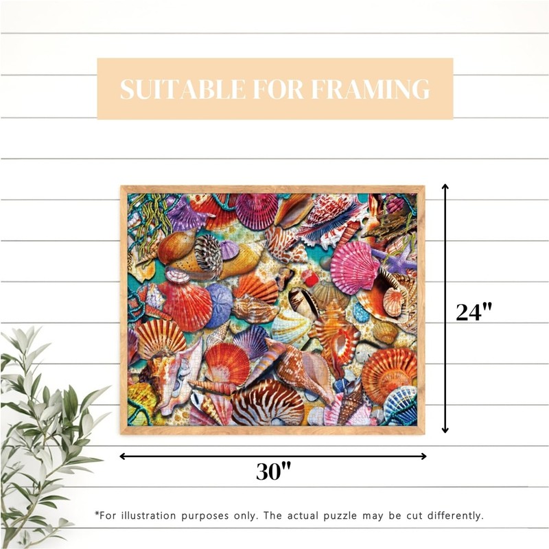 Heritage Puzzle Coastal Shells Jigsaw Puzzle for Adults 1000 Pieces,