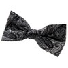 Retreez Men Elegant Paisley Art Pattern Woven Microfiber Pre-tied Bow