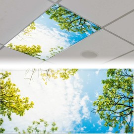 QOROL 2PCS Fluorescent Light Covers for Classroom Ceiling, Magnetic Covers, Filters for School Home Office Drop Ceiling Lamp, Sky Pattern Decor