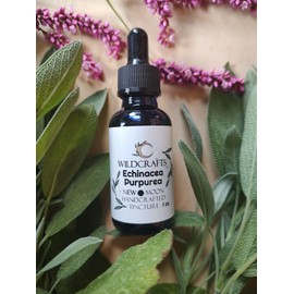 Wildcrafts Echinacea purpurea Organic Tincture Handcrafted on a New Moon