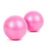 FIT Barre Mini Exercise Barre Ball for Yoga,Pilates,Stability Exercise Training