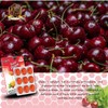 La Tía Trini – Propolis, Mint & Cherry Candies –