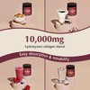 GNC Premier Collagen Powder - Unflavored | Formulated with 6