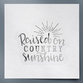 Raised On Country Sunshine (Metallic Silver) (Set of 2) Premium Waterproof Vinyl Decal Stickers for Laptop Phone Accessory Helmet Car Window Mug Tuber Cup Door Wall Decoration - ANGsticc92554SI