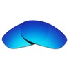 Alphax Ice Blue Polarized Replacement Lenses for Oakley Monster Dog