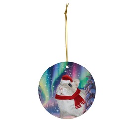 Funny Djungarian Hamster Christmas Ornament 2025 Ceramic Circle White - Festive Winter Northern Lights Holiday Xmas Tree Hanging Decoration Gifts for Hamster Lovers