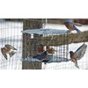 Erva Starling-Proof Barrier Guard Bluebird Feeder with Glass Mealworm Cup