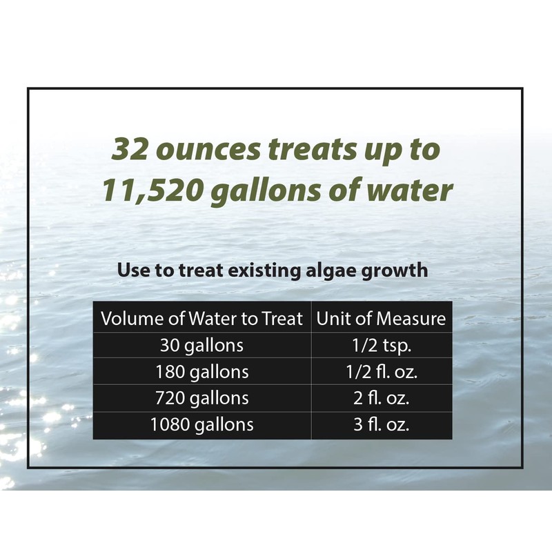 Bloom Buster Algae Control for Fish Ponds & Water Gardens