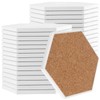 JOIKIT 30 Pack 4 Inch Ceramic Tiles for Crafts Coasters,